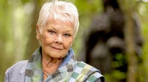 BBC One - Who Do You Think You Are?, Series 18, Dame Judi Dench
