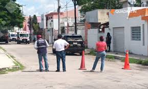 Ataque de abejas moviliza a policías y ambulancias en Mérida
