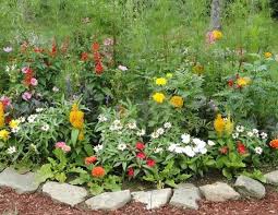 Colorful Garden Flowers Mulch Cheap Gardening Ideas Garden Design Blumenbeet Anlegen Blumenbeet Garten Gestalten