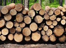 Enter our competition for the chance to win firewood, kindling and other fuel products. 10 Good Things Your Town May Give You For Free Firewood Good To Know Towns