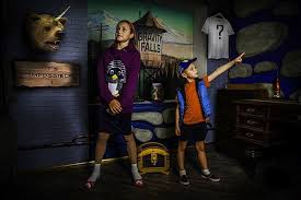 Escape Game La Cabane Aux Mysteres Dessin Anime Gravity Falls Anime