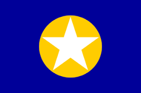 Dai nam flag (monarchy of vietnam), basis of this flag. National Party Of Viet Nam