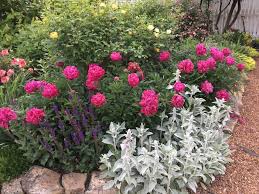 Pin On Landscaping