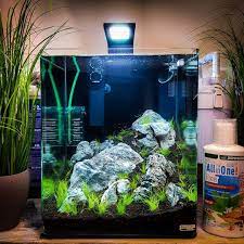New 30 Liter Nano Cube Setup Tank Aquascape Fish Tank Aquarium Fish