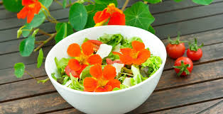 Maybe you would like to learn more about one of these? Nasturtium Uses Benefits Recipes How To Grow And More Dr Axe