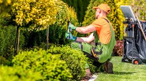 Mit wochenangeboten in der nähe einfach geld und zeit sparen. Trend Shops 2021 Garten Handwerk Computer Bild