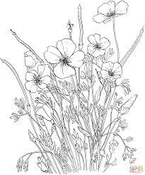 poppies coloriage fleur dessin floral arc-en-ciel en images