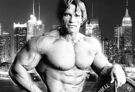 Anderson played an equally violent and unpredictable gangster, arthur shelby, part of a birmingham crime family. Arnold Schwarzenegger Quotes Motivational Inspirational