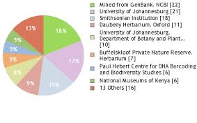 Image result for Pavetta cataractarum