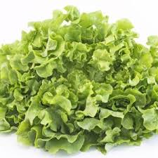 Per questo è molto importante trovare il mix giusto di. Pan Di Zucchero Op Terramore