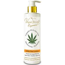 Aloe vera plants require plenty of the sun in a bright place and direct sunlight during winters. After Sun Lotion Cannabis Oil And Aloe Vera Venus Secrets Shop
