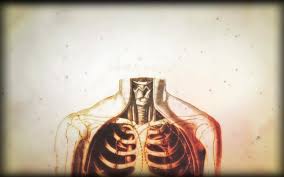 Best 52 Physiology Wallpaper On Hipwallpaper Physiology Wallpaper Anatomy Physiology Wallpaper And Exercise Physiology Wallpaper
