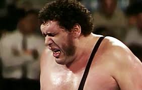 Andre the Giant's wrestling career and legacy