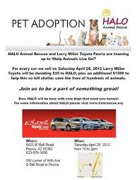 Halo Animal Rescue And Larry Miller Toyota Peoria Are Teaming Up To Help Animals Live On Halo Will Be There With Cute Dogs That Need N Animal Rescue Adoption Day Pet