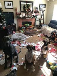 Maybe you would like to learn more about one of these? Christmasfails Hashtag On Twitter