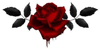 Bleeding Rose By Kittyscorpianoa D7rg6vg Png 1279 625 Bleeding Rose White Rose Flower Red And White Roses
