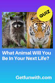 What Animal Will You Be In Your Next Life In 2021 Animal Quiz Dog Quiz Spirit Animal Quiz