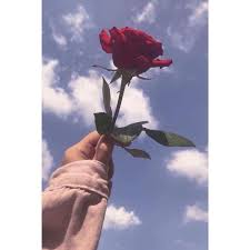 Pin By Haira On Aesthetics In 2020 Aesthetic Roses Star Vs The Forces Of Evil Aesthetic Anime