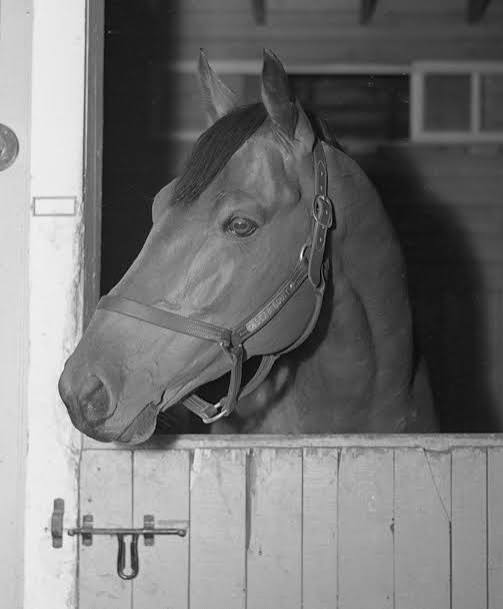 Seabiscuit | American Racehorse Legend & History | Britannica