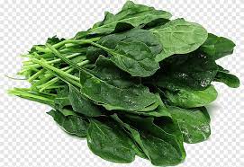 Gambar mewarnai kumpulan mewarnai gambar terbaru page 2. Sayur Bayam Komatsuna Sayur Daun Sayuran Jeruk Png Pngegg