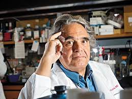 High Hopes for a New Kind of Gene