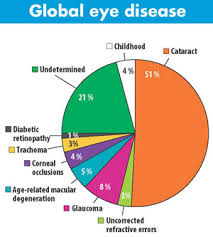 The National Eye Institute Nei Battling Global Blindness