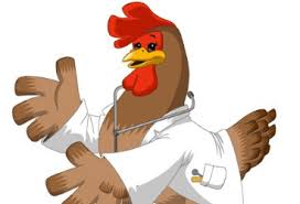 2020 Yili Avian Influenza Kus Gribi Belirtileri Ve Tedavisi Kullanma Talimati 2020 Fiyati Ilac Bilgileri