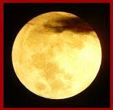 Scorpio moon might be very suspicious of sunny leo moon, and leo moon might find scorpio moon's moods very draining. Moon Signs Moon Sign Compatibility