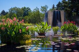 Good availability and great rates. Fountain And Lilly Pond Denver Botanic Garden Denver Colorado Mapio Net