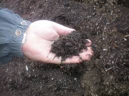 Mulching helps keep weeds out, soil moist and makes for a great soil amendment after decomposition. Free Mulch