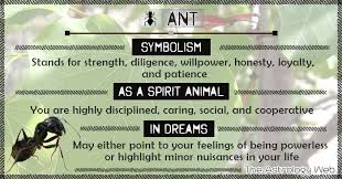 What Do Ants Symbolize Dreaming Of Ants Interpretation Ant Symbolism In Cultures And Religions Spirit Animal Meaning Animal Totem Spirit Guides Spirit Animal