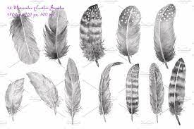 Watercolor Photoshop Brush Feathers Watercolor Brushes Photoshop Photoshop Brushes Watercolor Feather