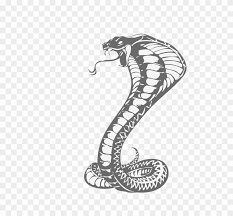 The new cobra rage bundle and cobra fist have finally made their way into the game, and players can get them from the new cobra ascending event. Cobras King Cobra Snakes Tattoo Snake Drawing Clipart Khon Kaen United F C Free Transparent Png Clipart Images Download