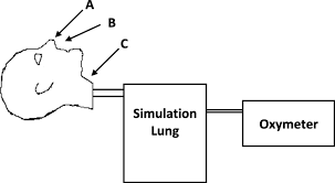 Analysis of preoxygenation combining nasal cannula with noninvasive positive pressure ventilation: Schematic Of Experiment With Placement Of Oxygen Source A Standard Download Scientific Diagram