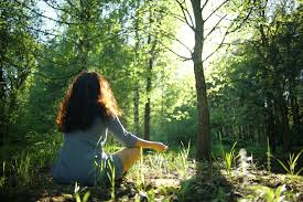 Find out more in video words in the news. Get Back To Nature 6 Tips For Healing In Nature Yoga Digest