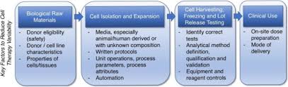 Check spelling or type a new query. Identifying And Managing Sources Of Variability In Cell Therapy Manufacturing And Clinical Trials Springerlink
