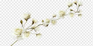 White and gold flowers png. Flower Pattern Png Images Pngwing