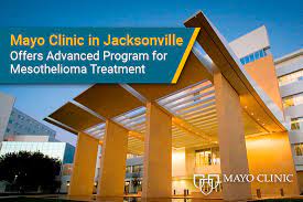The dna contains the instructions that tell a cell what to do. Mayo Clinic In Jacksonville Offers Advanced Treatment For Mesothelioma