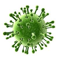 4.2 anwendungsgebiete unter angabe der zieltierart(en): Antibiotika Fur Hunde Wie Wirken Sie Und Was Muss Man Bei Der Anwendung Wissen Easy Dogs