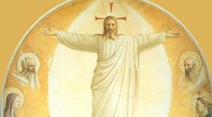 images?q=tbn:ANd9GcQ7jrQQldsgTO7ATbtYrEl8U2m0B39VXy9Tiw&s