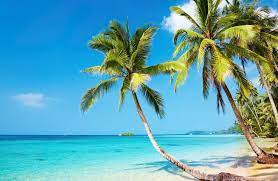 Tropical Beach 4k Ultra Hd Wallpaper 4k Wallpaper Net Beach Wallpaper Tropical Beach Tropical Beaches