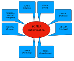 Concept Of Sopha Inflammation A Critical Study