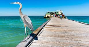 Maybe you would like to learn more about one of these? 14 Best Things To Do On Anna Maria Island Florida