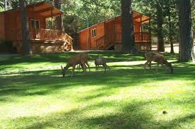 Public rv park parking dump. The 5 Best Nevada City Camping Of 2021 With Prices Tripadvisor