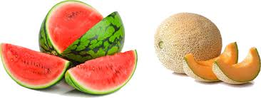 Wildscreen's arkive project was launched in 2003 and grew to become the world's biggest encyclopaedia of life on earth. Melon Png Images Gambar Melon Gambar Buah Melon Clipart Images Free Transparent Png Logos