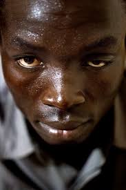 nelson garrido fotografia « IWE