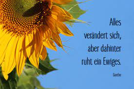 Dankesschreiben Trauer Und Abschied Mit Spruchen Und Bildern Zum Ausdrucken