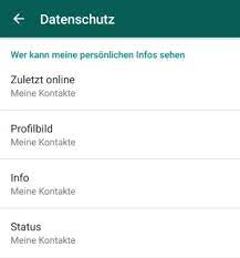 Check easily the online status for any phone number on whatsapp. Whatsapp Immer Online Anzeigen Ist Das Moglich Noobguides De