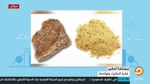 فقرة عشبة الحلتيت وفوائدها مع تسنيم حمدي ود خالد مشرف youtube