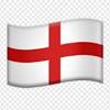 Copy and paste this flag emoji: 1